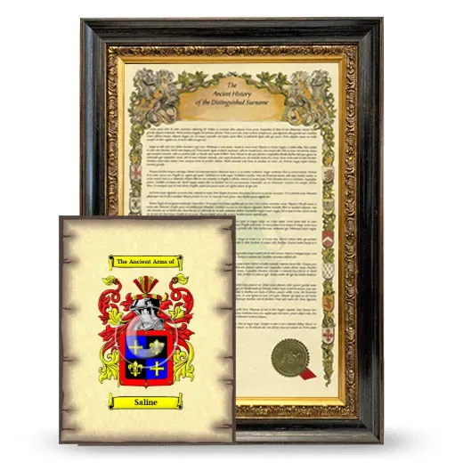 Saline Framed History and Coat of Arms Print - Heirloom