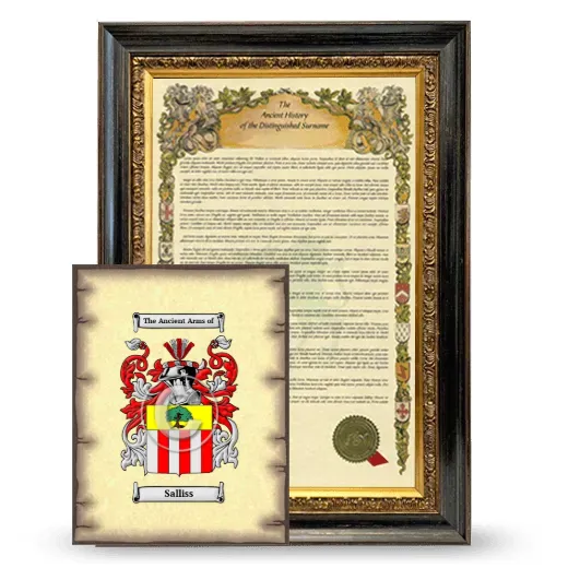 Salliss Framed History and Coat of Arms Print - Heirloom