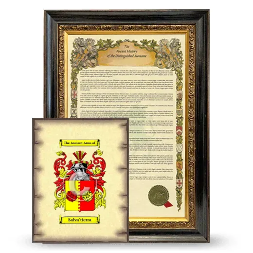 Salva'tierra Framed History and Coat of Arms Print - Heirloom