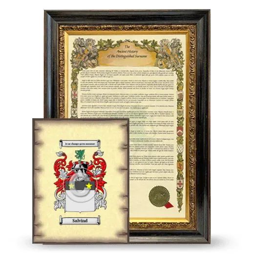 Salvind Framed History and Coat of Arms Print - Heirloom