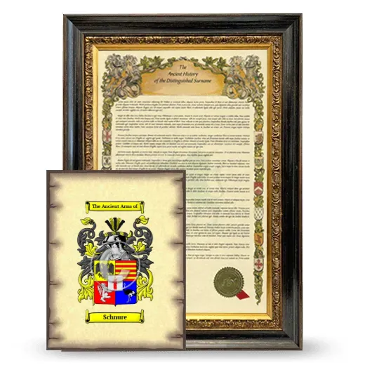 Schnure Framed History and Coat of Arms Print - Heirloom
