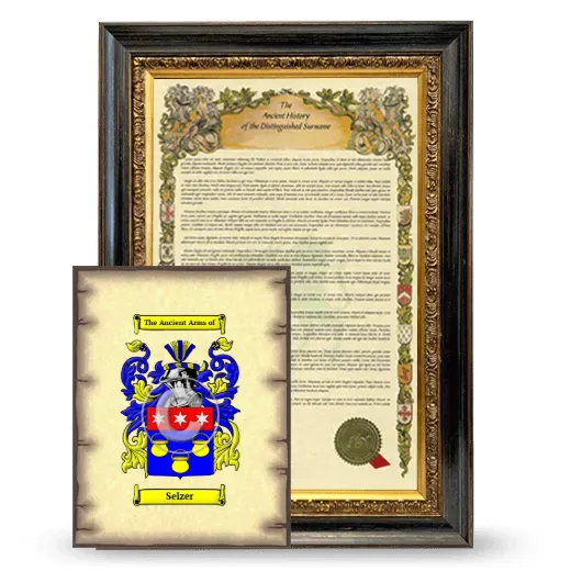 Selzer Framed History and Coat of Arms Print - Heirloom