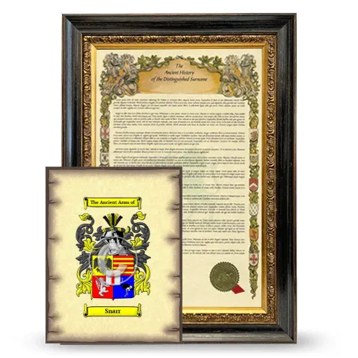 Snarr Framed History and Coat of Arms Print - Heirloom