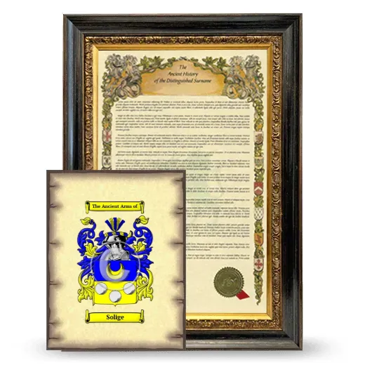 Solige Framed History and Coat of Arms Print - Heirloom