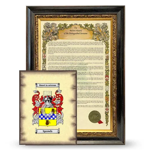 Sprowls Framed History and Coat of Arms Print - Heirloom