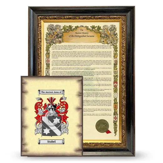 Stabel Framed History and Coat of Arms Print - Heirloom