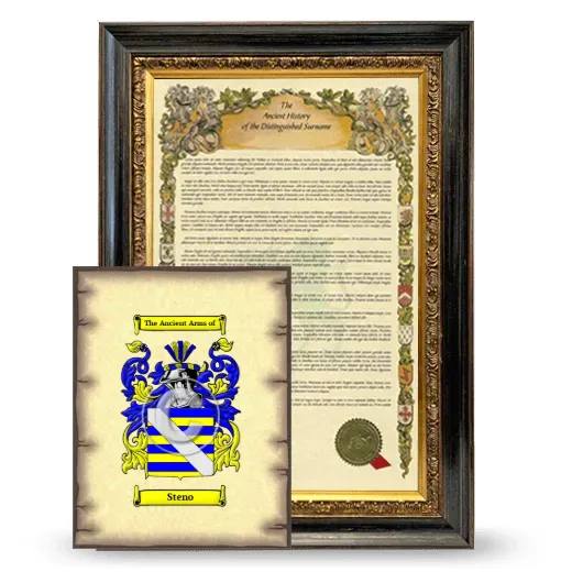 Steno Framed History and Coat of Arms Print - Heirloom
