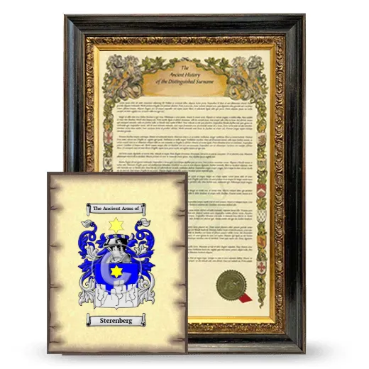 Sterenberg Framed History and Coat of Arms Print - Heirloom