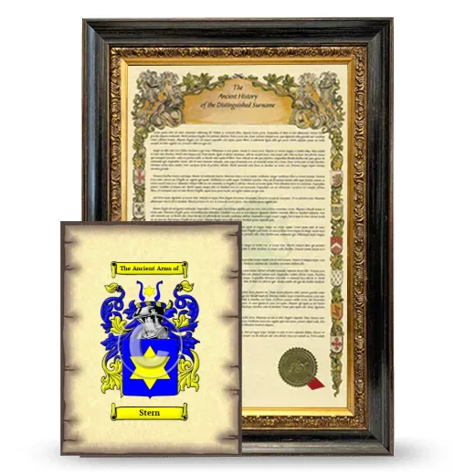 Stern Framed History and Coat of Arms Print - Heirloom