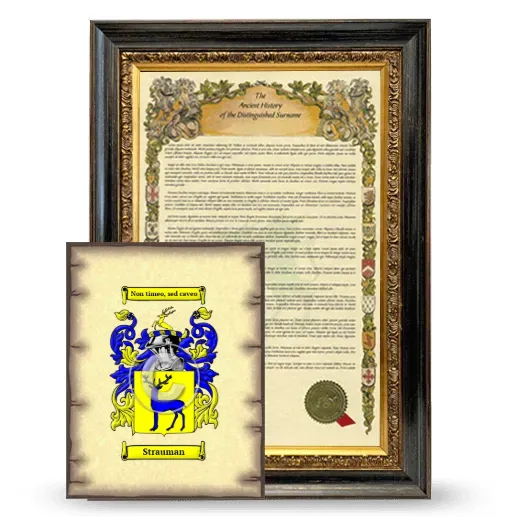 Strauman Framed History and Coat of Arms Print - Heirloom