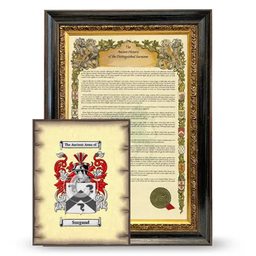 Surgand Framed History and Coat of Arms Print - Heirloom