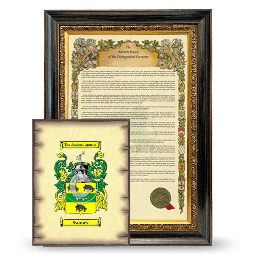 Swaney Framed History and Coat of Arms Print - Heirloom
