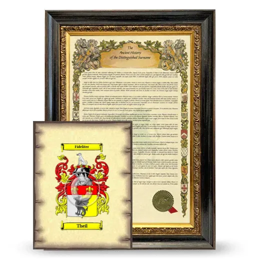 Theil Framed History and Coat of Arms Print - Heirloom