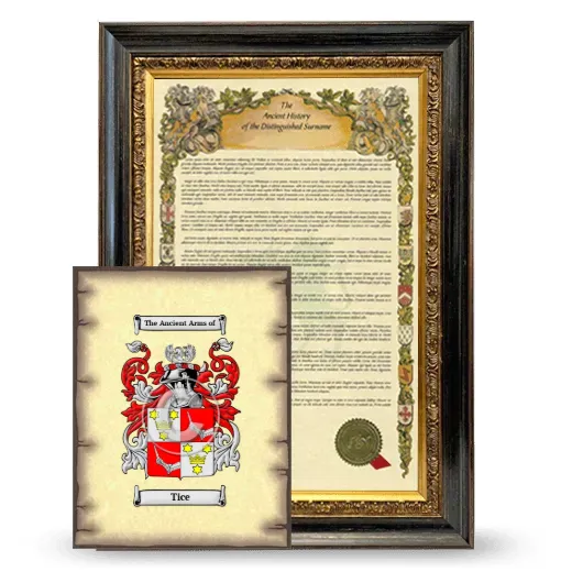 Tice Framed History and Coat of Arms Print - Heirloom