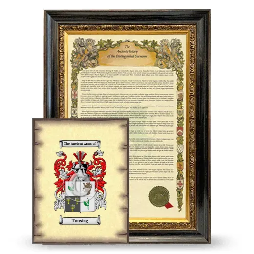 Tonsing Framed History and Coat of Arms Print - Heirloom