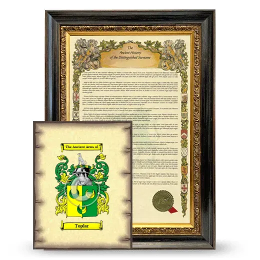 Toplar Framed History and Coat of Arms Print - Heirloom