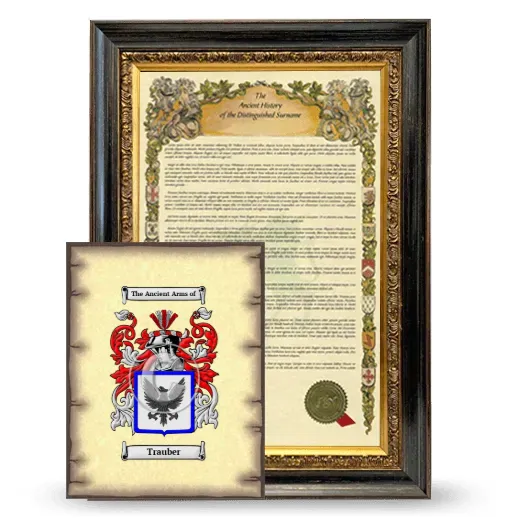 Trauber Framed History and Coat of Arms Print - Heirloom