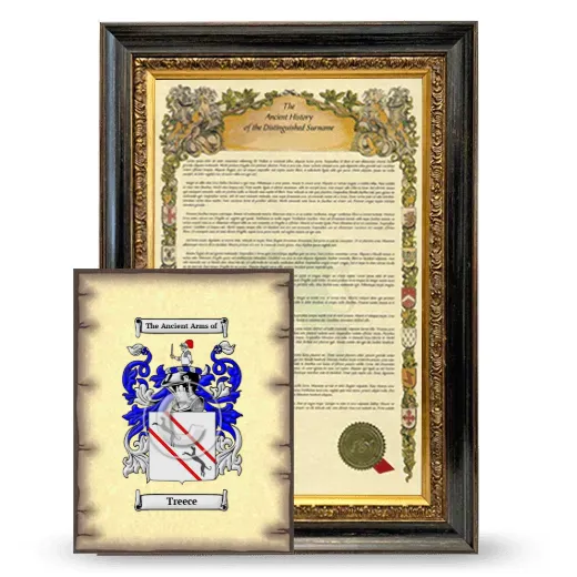 Treece Framed History and Coat of Arms Print - Heirloom
