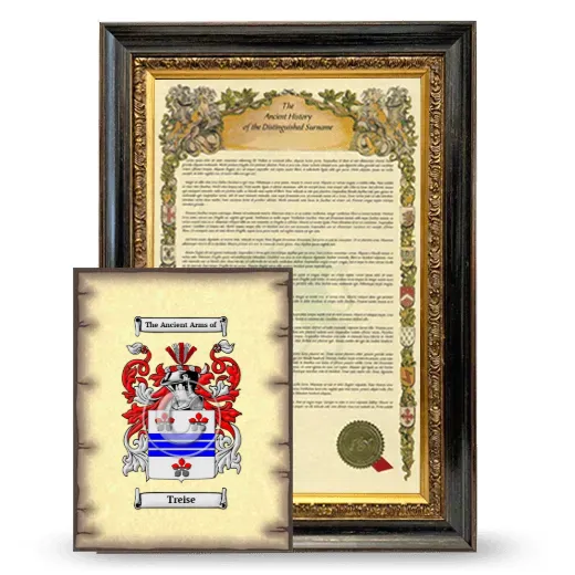 Treise Framed History and Coat of Arms Print - Heirloom