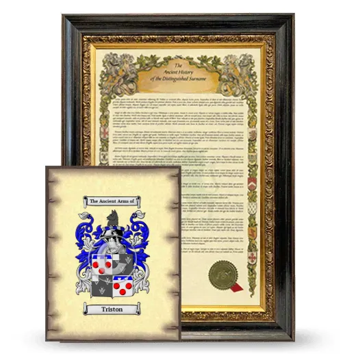Triston Framed History and Coat of Arms Print - Heirloom