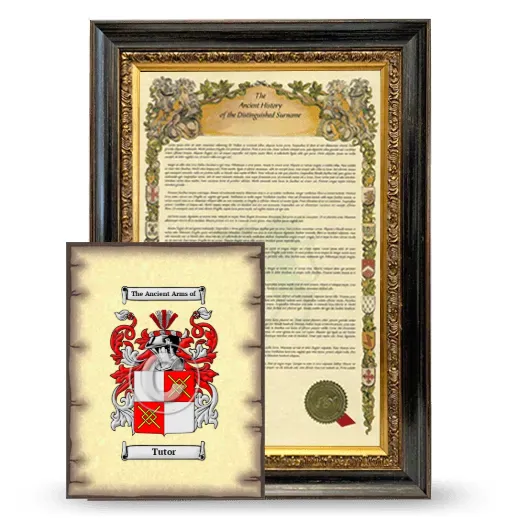 Tutor Framed History and Coat of Arms Print - Heirloom