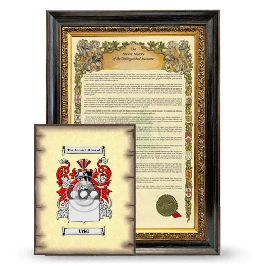 Uriel Framed History and Coat of Arms Print - Heirloom