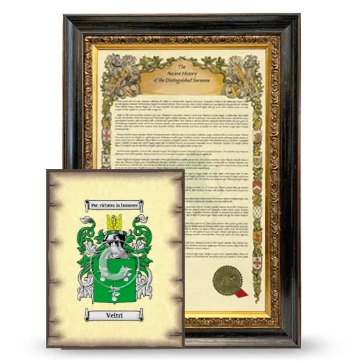 Veltri Framed History and Coat of Arms Print - Heirloom