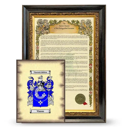 Vinson Framed History and Coat of Arms Print - Heirloom