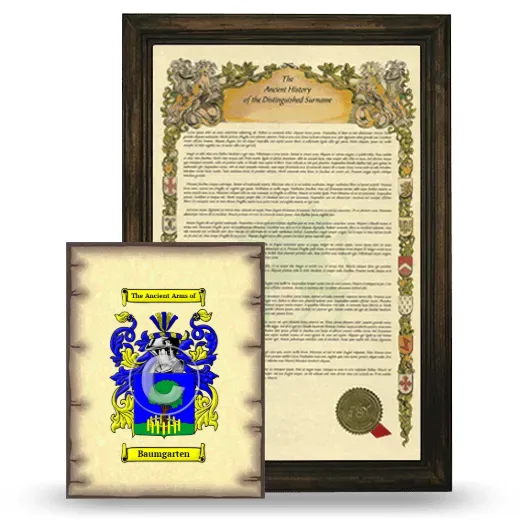 Baumgarten Framed History and Coat of Arms Print - Brown