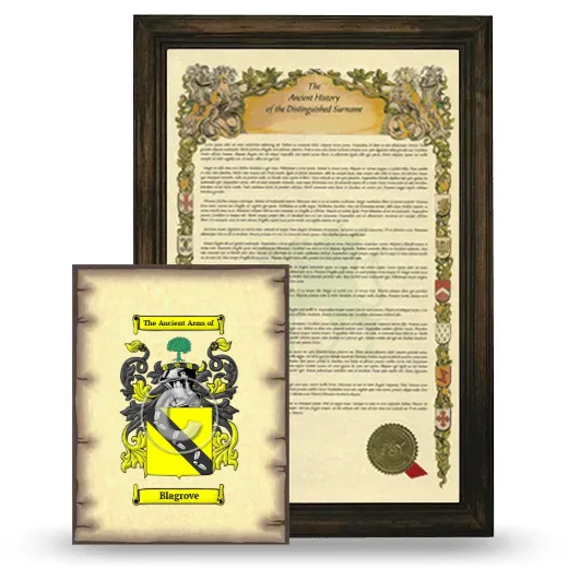 Blagrove Framed History and Coat of Arms Print - Brown