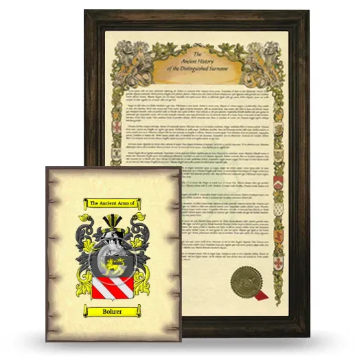 Bohrer Framed History and Coat of Arms Print - Brown