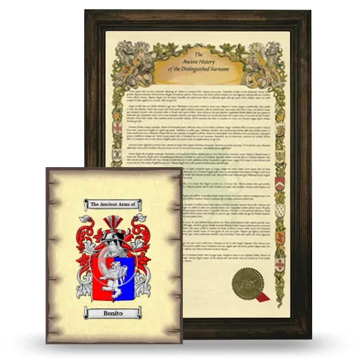 Bonito Framed History and Coat of Arms Print - Brown