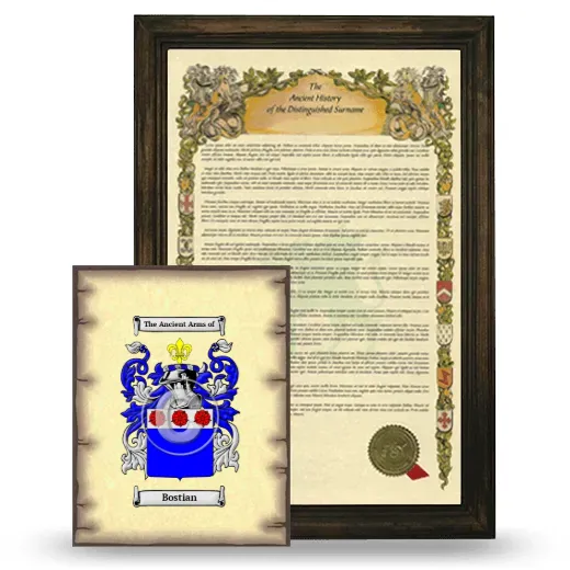 Bostian Framed History and Coat of Arms Print - Brown