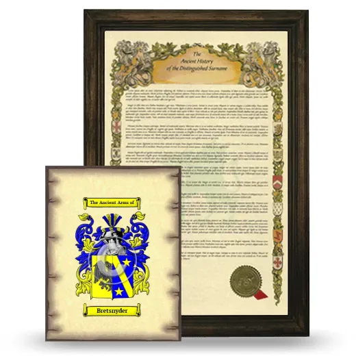 Bretsnyder Framed History and Coat of Arms Print - Brown