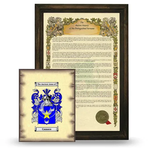 Camara Framed History and Coat of Arms Print - Brown