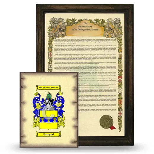 Furnynd Framed History and Coat of Arms Print - Brown