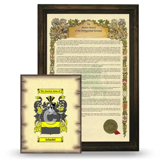 Schadel Framed History and Coat of Arms Print - Brown