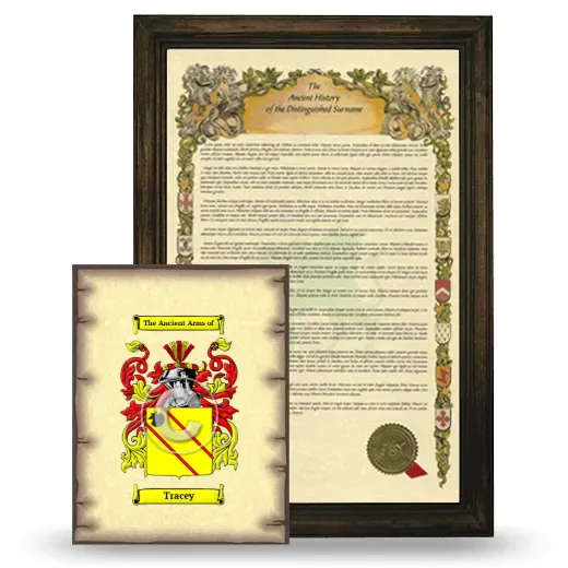 Tracey Framed History and Coat of Arms Print - Brown
