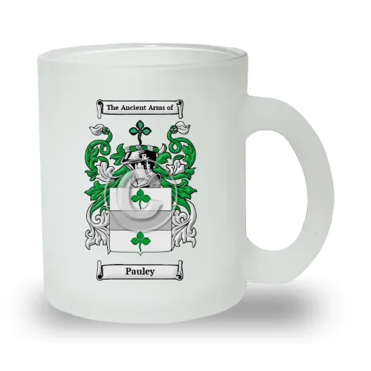Pauley Frosted Glass Mug