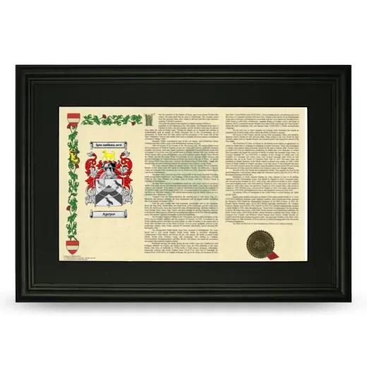 Apryce Deluxe Armorial Landscape Framed- Black