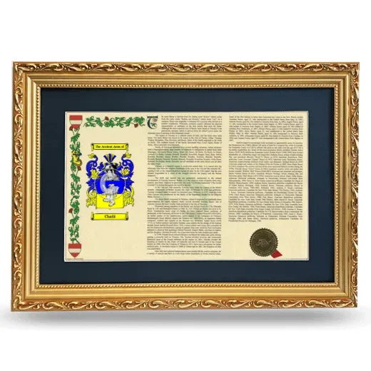 Chañi Deluxe Armorial Landscape Framed - Gold
