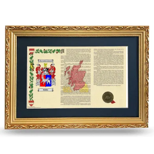 Mabbs Deluxe Armorial Landscape Framed - Gold