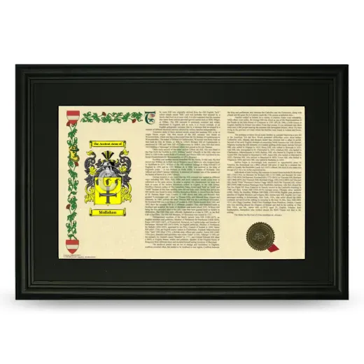 Mollahan Deluxe Armorial Landscape Framed- Black