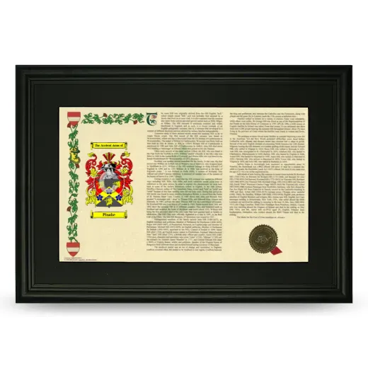 Pinake Deluxe Armorial Landscape Framed- Black