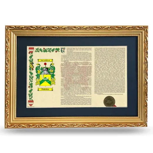 Pinkelton Deluxe Armorial Landscape Framed - Gold