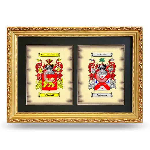 Double Coat of Arms Framed - Gold