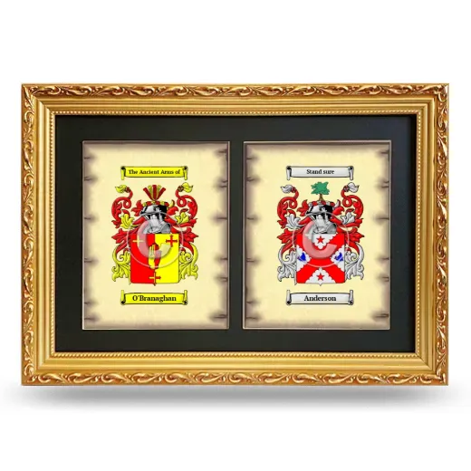 Double Coat of Arms Framed - Gold