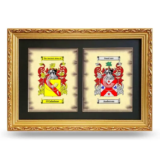 Double Coat of Arms Framed - Gold