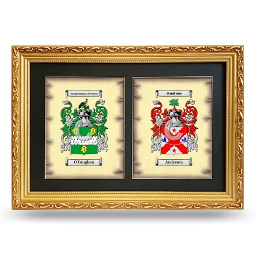 Double Coat of Arms Framed - Gold