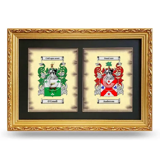 Double Coat of Arms Framed - Gold